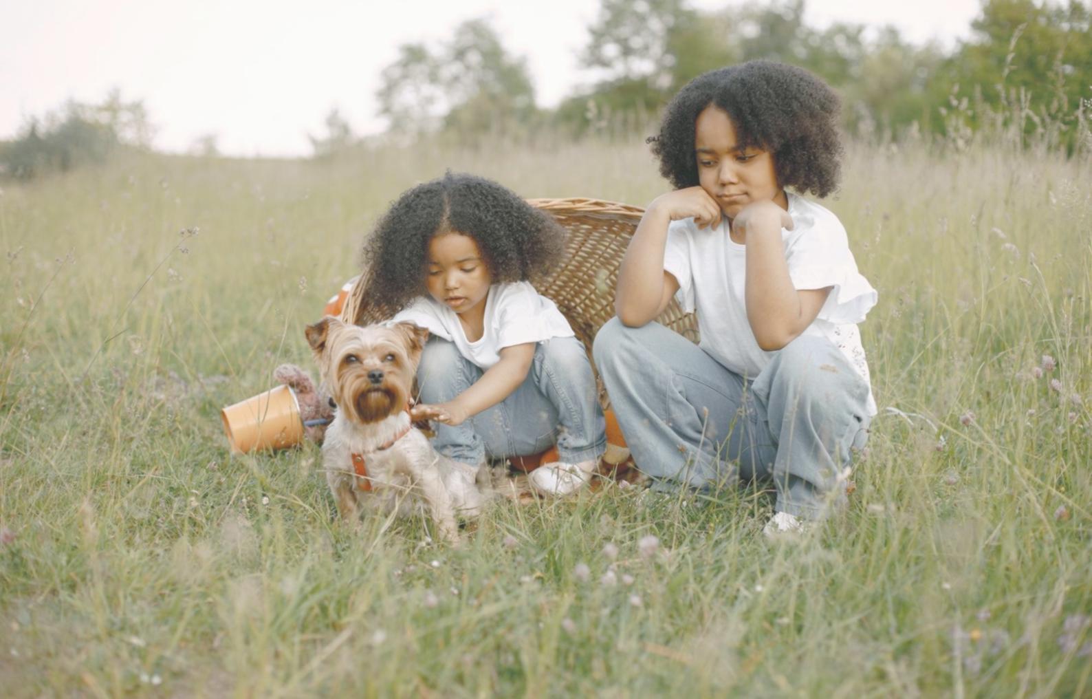Команда специалистов центра социальной поддержки Hrelindo Bomitas